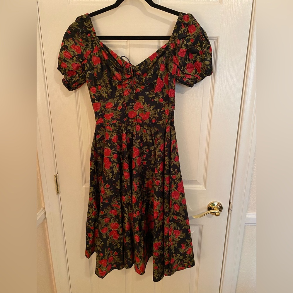 Trashy Diva L’amour dress Size 8 NWT Fairytale Rose 🌹